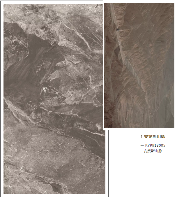 20181115141029404 东升国际官网-相信品牌力量